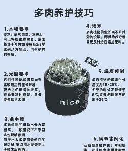 多肉植物怎么养. 多肉植物怎么养.