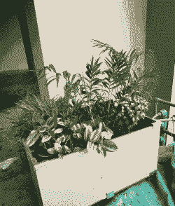 养花花盆里放瓷砖可以吗