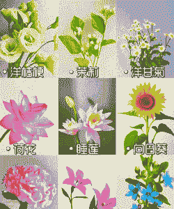 日本养花夏季如何养花好