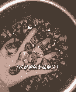 海盐养花蛤
