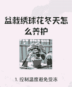 冬天保护花方法是什么