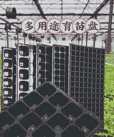 育苗托盘养花
