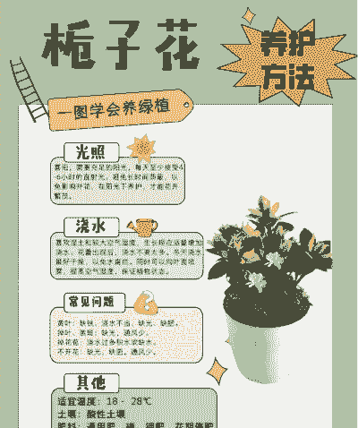 栀子花怎么养活剪之子