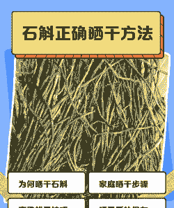 买回来的石斛怎么晒