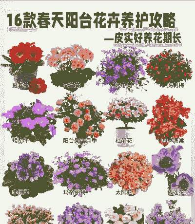 花卉养护包括哪些种类