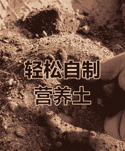 土里放点什么有营养