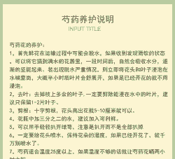 养花的药能浇水吗吗