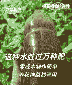 怎么做肥料种菜