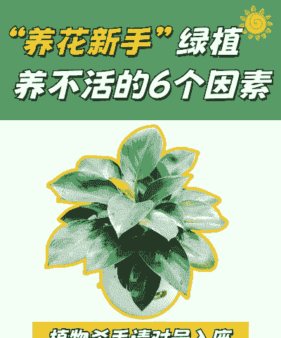 养花为啥不爱活