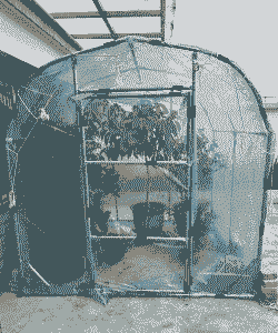 冬季室外养花暖棚