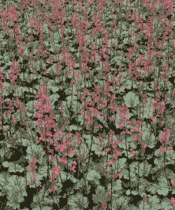 公园冻土养花好吗