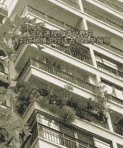 阳台养花违规举报