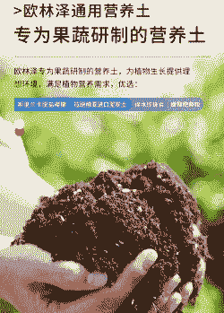养花土壤和肥料