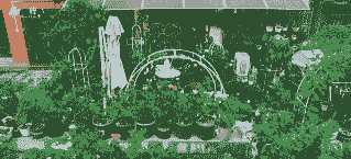 天台养花限制范围