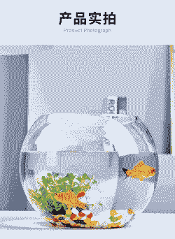 金鱼养花瓶里面