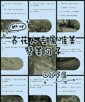 老板爱养花说说