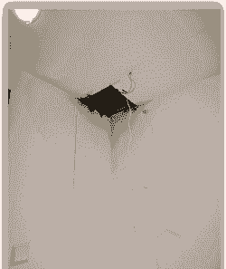 楼上养花浇水漏水