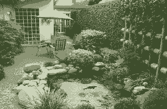 别墅小院养花养鱼