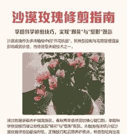 玫瑰什么时候大修剪