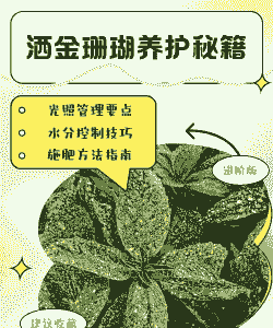 洒金珊瑚要怎么养护