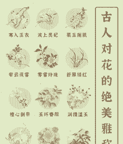 在古代养花怎么称呼