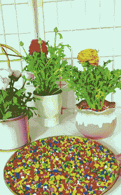 彩色打磨养花小石子