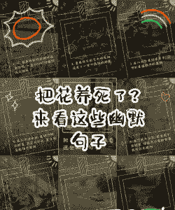 养花枯萎的搞笑文案