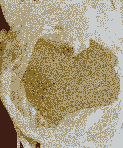 过期小米能不能养花