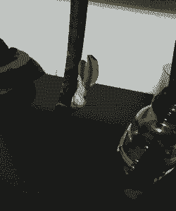 什么花要水泡根