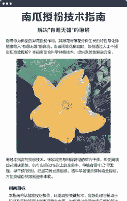 南瓜没有雄花怎样授粉