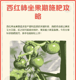 西红柿坐果期怎样浇水