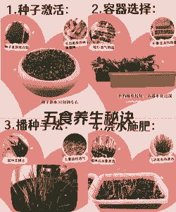 小葱生长需要的条件