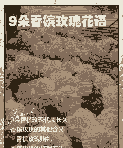 9朵玫瑰花语