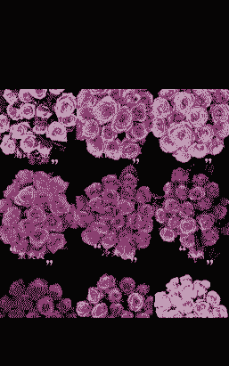 紫霞仙子和海洋之歌区别