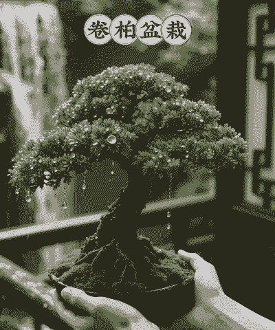 室内养九死还魂草好吗