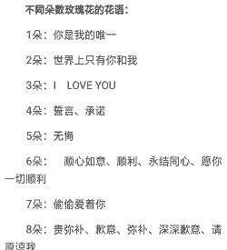 玫瑰花的数量代表什么意思