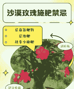 什么花不能用尿素施肥