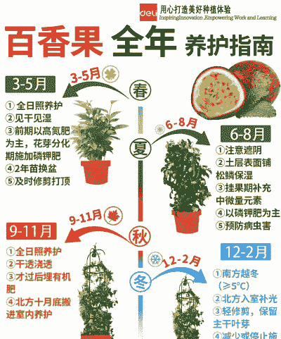 百香果树的种植方法