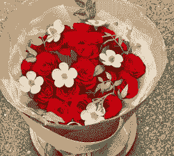 红玫瑰适合送什么人