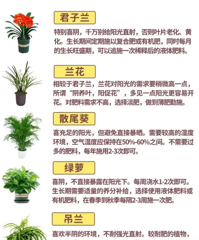 养花爱花之人什么意思