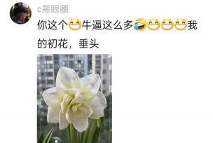 养花爱花之人什么意思