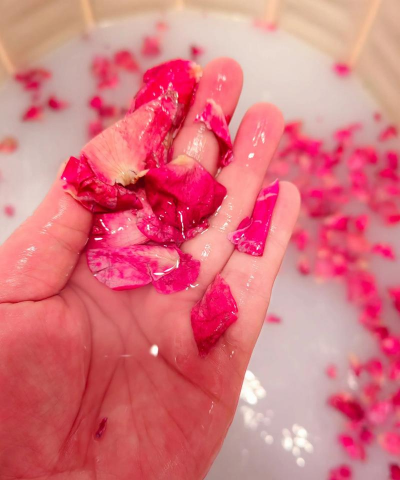 牛奶水可以浇什么花