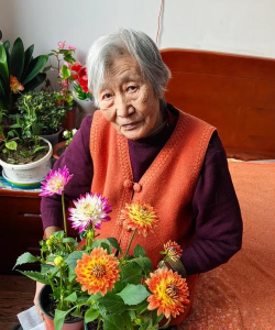 农村养花的奶奶