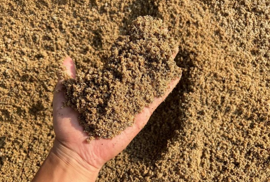 铁矿尾矿沙养花