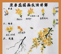 怎么插迎春花