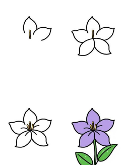 夜来香怎么移植