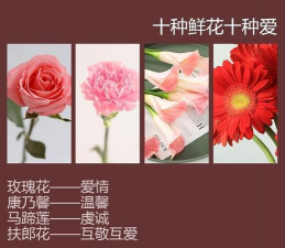 养花 用心 爱人好吗