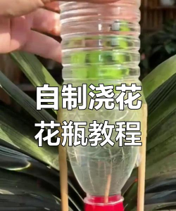 瓶子打孔养花如何浇水