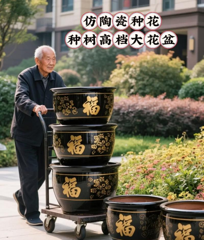 大号花盆种什么花好看 大号花盆种什么花好看