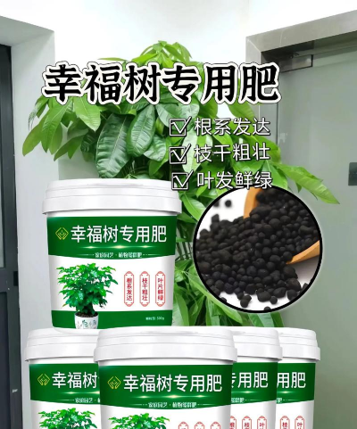 幸福树 试什么肥料